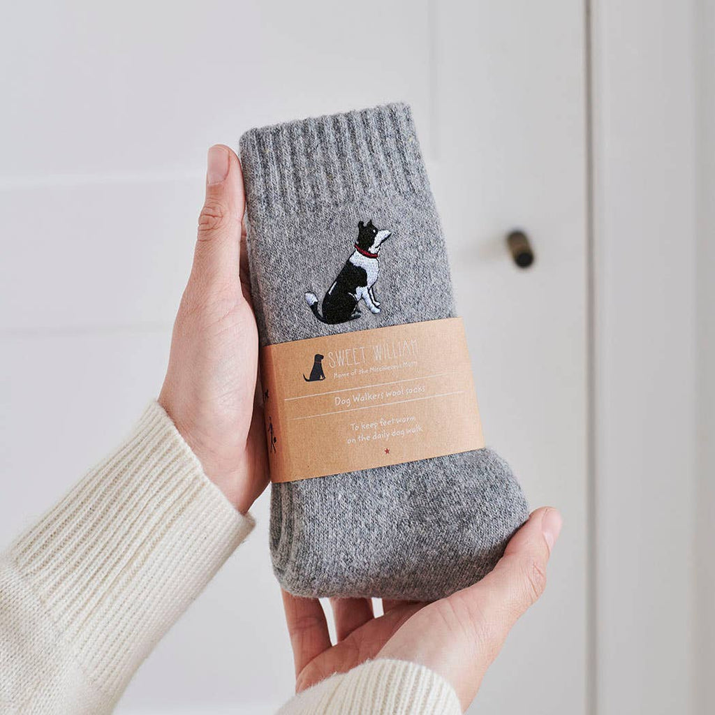 Dog Walking Socks - Border Collie