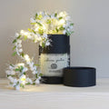 Winter Berry Fairy Light String - Christmas Decoration: Winter White / 2m (Battery)
