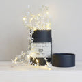 Snowflake Fairy Light String - Christmas Decoration: 2m (Battery) / Silver
