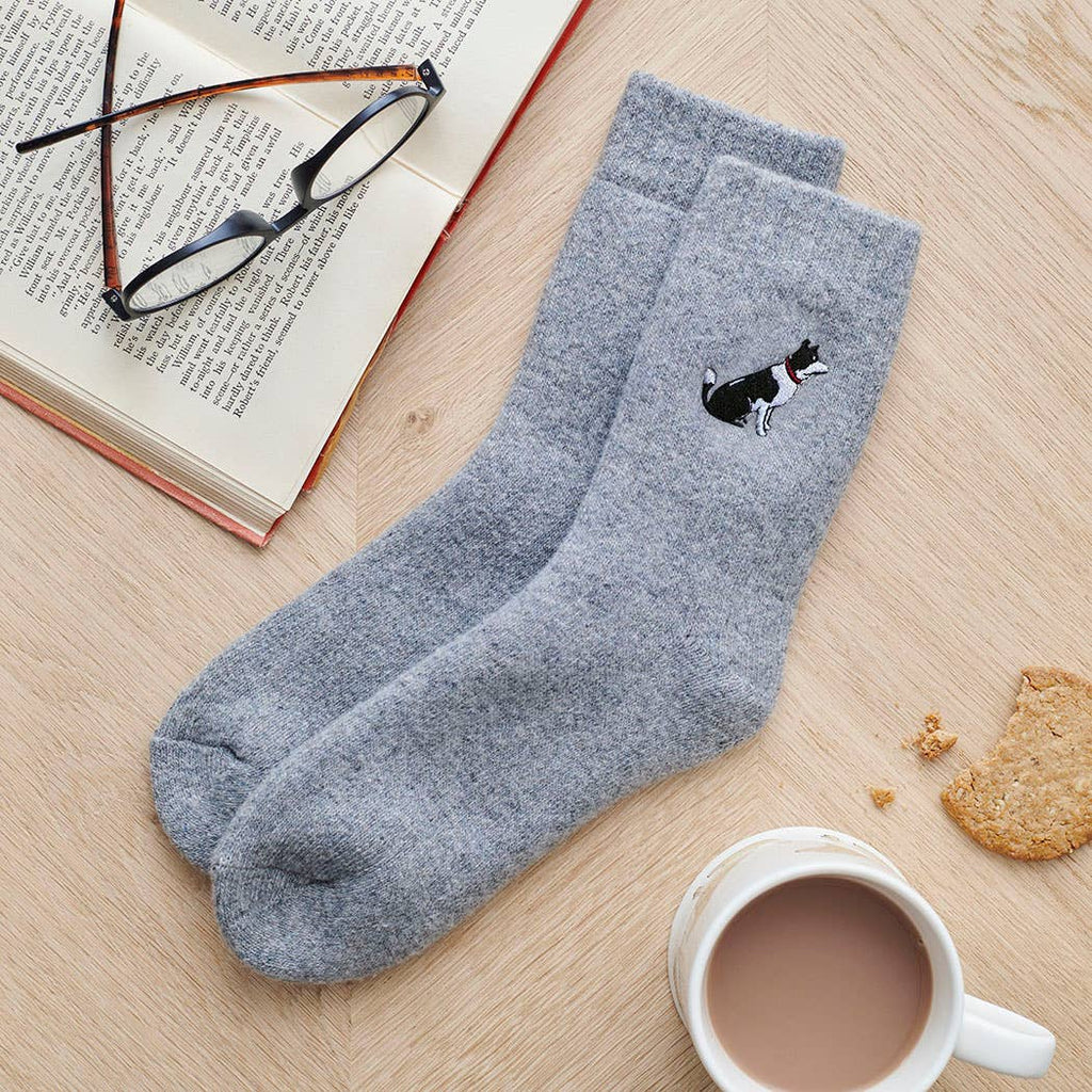 Dog Walking Socks - Border Collie