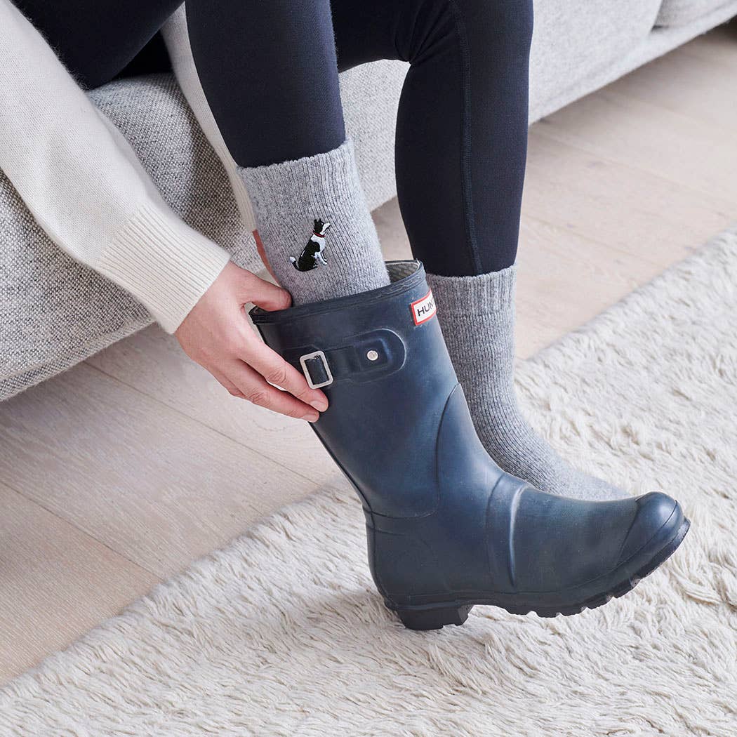 Dog Walking Socks - Border Collie